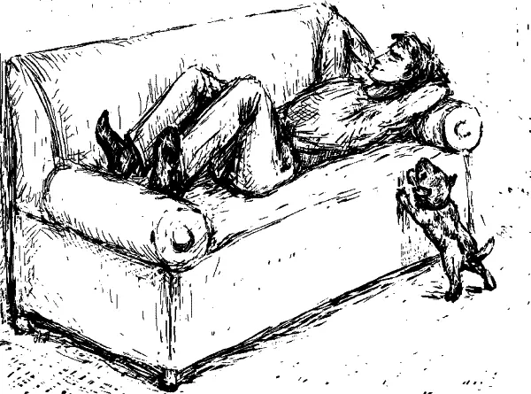 Не наказывайте попытки щенка обратить на себя ваше внимание Гордо его - фото 58
