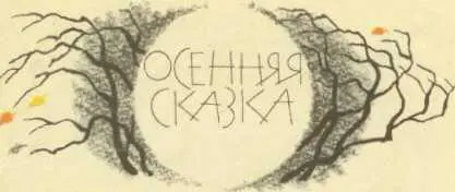 ОСЕННЯЯ СКАЗКА С каждым днём всё позднее светало и лес стал таким прозрачным - фото 10