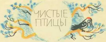 ЧИСТЫЕ ПТИЦЫ Больше всего Ежик любил эти первые понастоящему весенние дни - фото 25