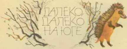 ДАЛЕКО ДАЛЕКО НА ЮГЕ В апреле когда на деревьях начали распускаться почки - фото 28