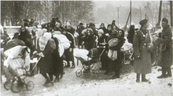 Население угоняют в немецкий тыл Дети на дорогах войны Орловский ри - фото 73