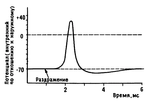 Рис 72 Потенциал действия Способность генерировать потенциал действия - фото 19