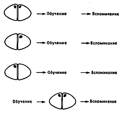 Рис 111 Повреждение IMNV На этом и следующих рисунках затемненные участки - фото 39