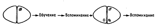 Рис 115 Блокирование перемещений Оно подтвердилось Тогда Дейв Терри и я - фото 43