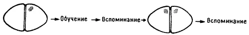 Рис 116 Но след находит другой путь До этого я был готов как некий научный - фото 44