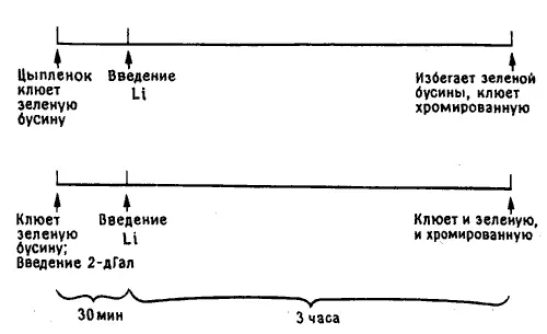 Рис 119 Эксперимент с выработкой условнорефлекторного отвращения к пище - фото 47