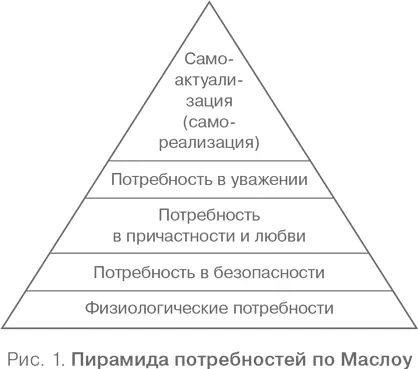 В основании пирамиды лежат физиологические потребности Они включают в себя - фото 2