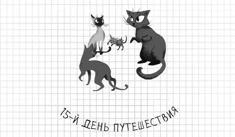 Оказывается я еще не представил вам котов что живут при храме Кроме Пичая - фото 90