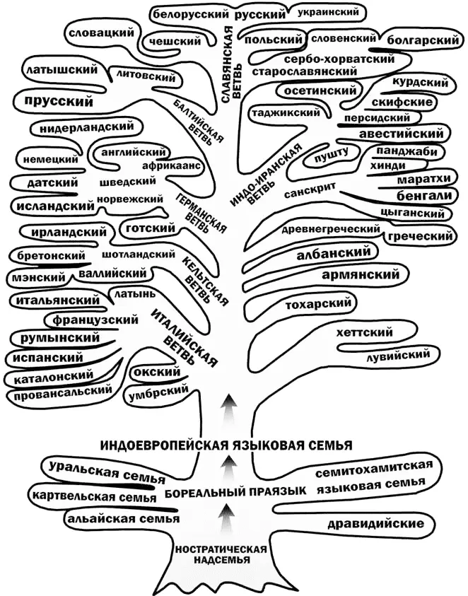 Рис 31 Эволюционное древо языков Рис 32 Эволюционное древо колёсной - фото 32