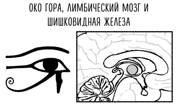 Рисунок 1212 У египтян Око Гора также представляло собой систему дробных - фото 71