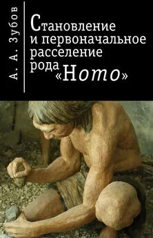 Александр Зубов - Становление и первоначальное расселение рода «Homo»