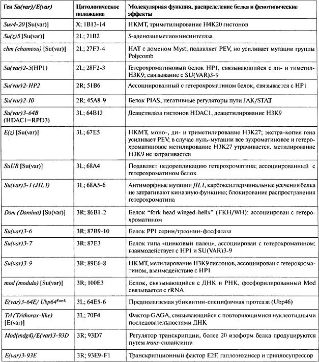См оригинальное цитирование во Flybase где ранее был картирован Suvar25 - фото 37