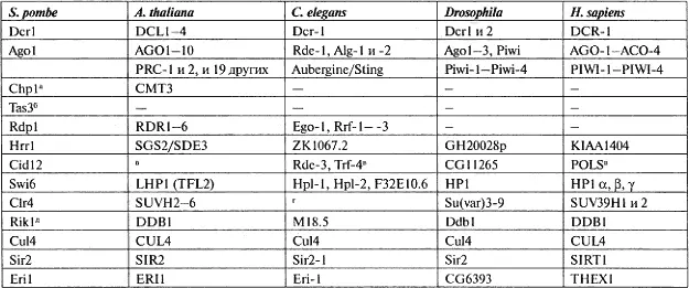 аОчевидный ортолог хромодоменного белка Chp1 не был идентифицирован у других - фото 76
