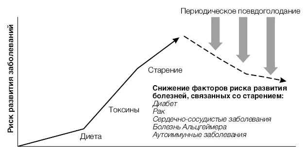 Рис 14 Правила диеты Псевдоголодание Представляю вам упрощенную версию - фото 55