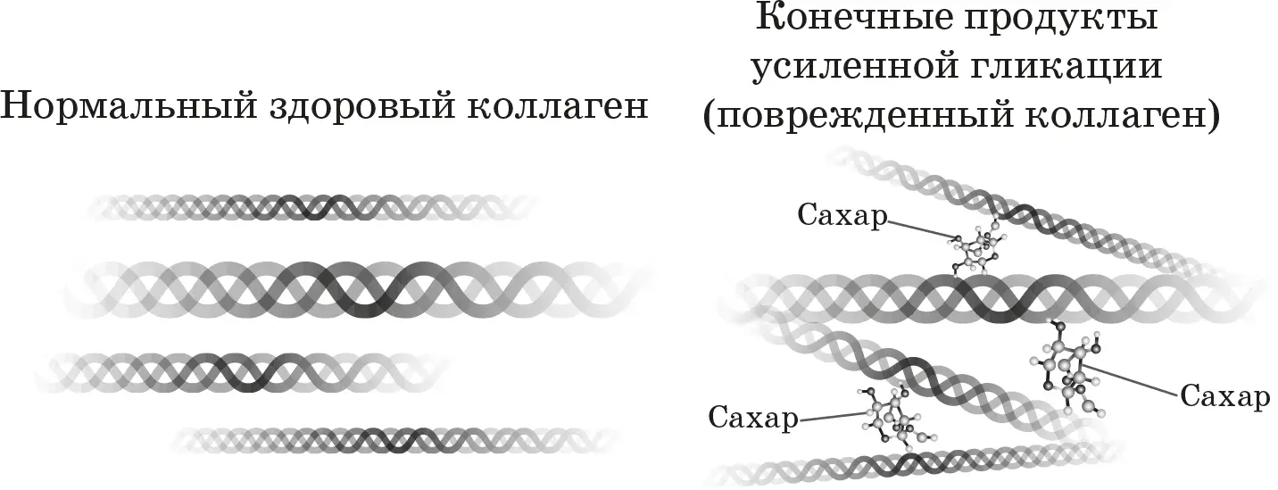 Гликация Гликация это естественный процесс и появление некоторого количества - фото 11