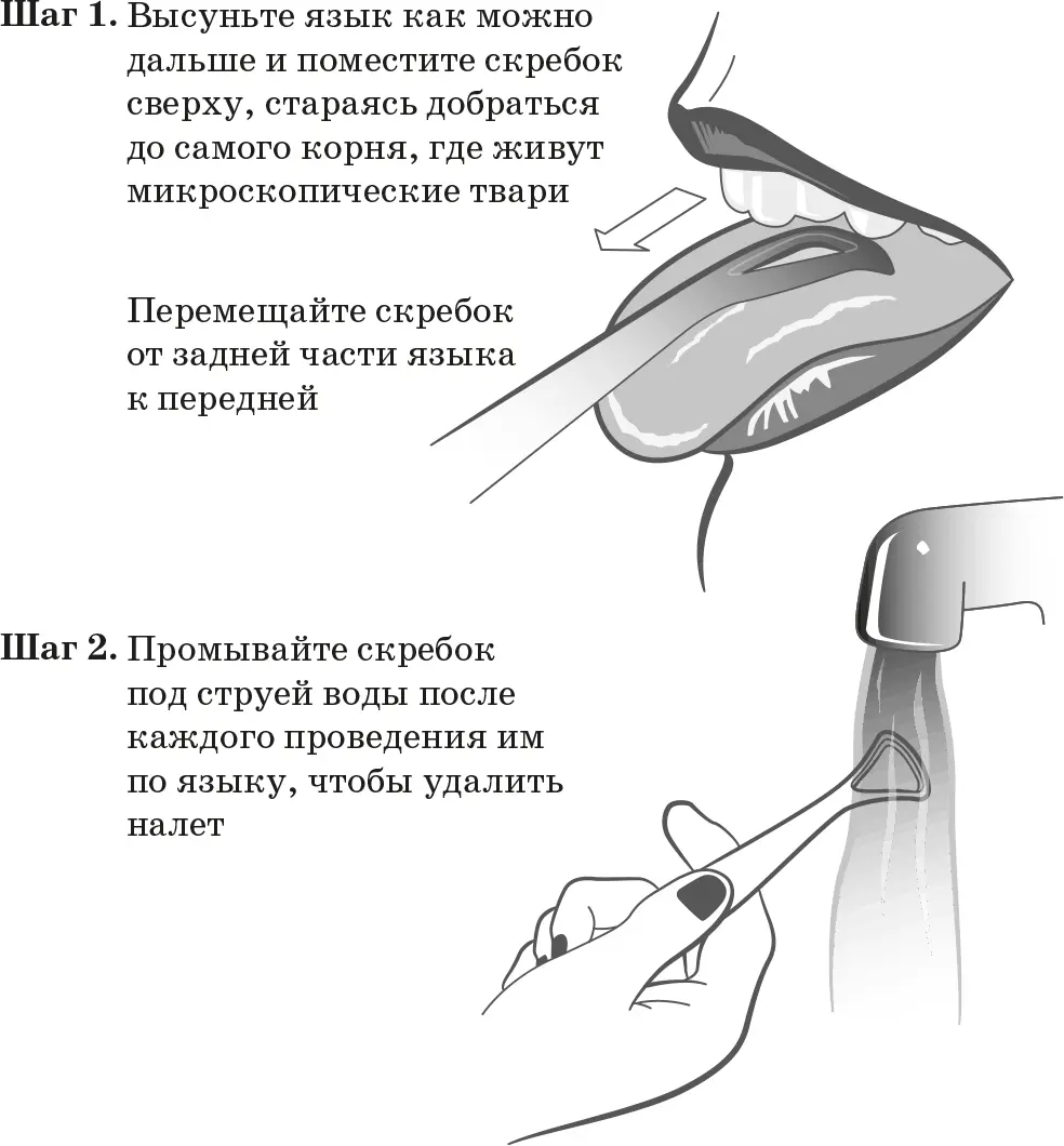 Как пользоваться скребком для языка Вот еще несколько советов которые помогут - фото 32