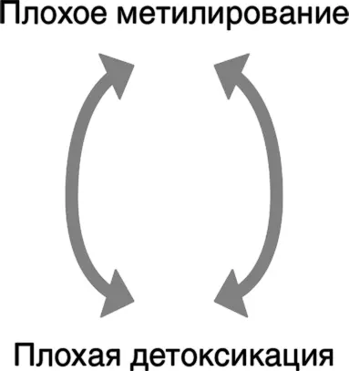 Другие факторы препятствующие метилированию Алкоголь Антациды препараты - фото 3
