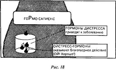 Если человеческий организм переполнен гормонами стресса то это препятствует - фото 23
