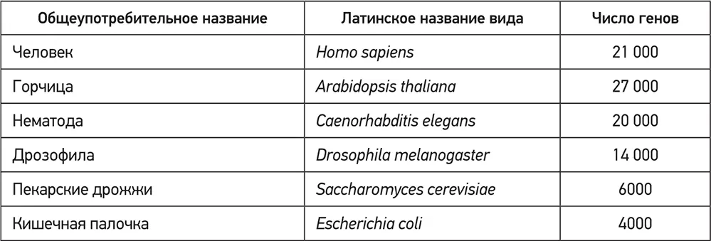 Итак по набору кодирующих генов мы не дотягиваем даже до обычного травянистого - фото 114
