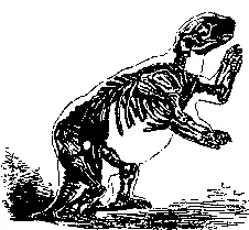 Рис 110 Ископаемый гигантский ленивец Mylodon darwini Из А Moorhead - фото 113