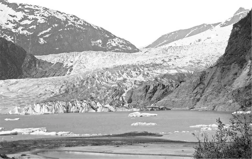 Ледник Менденхолл на Аляске Кстати говоря к подобным выводам пришли и - фото 10