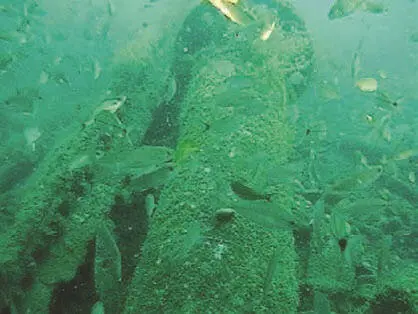 То что осталось на морском дне от русского сухогруза под названием - фото 129