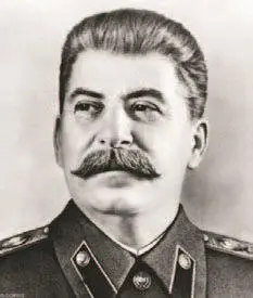 Тито мог противостоять Сталину и за счёт партизанских связей в том числе и с - фото 215