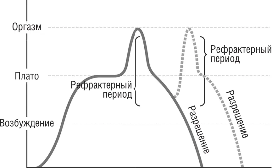 Цикл сексуальных реакций мужчины ИТАК СНАЧАЛА ИДЕТ ФАЗА ВОЗБУЖДЕНИЯ - фото 5