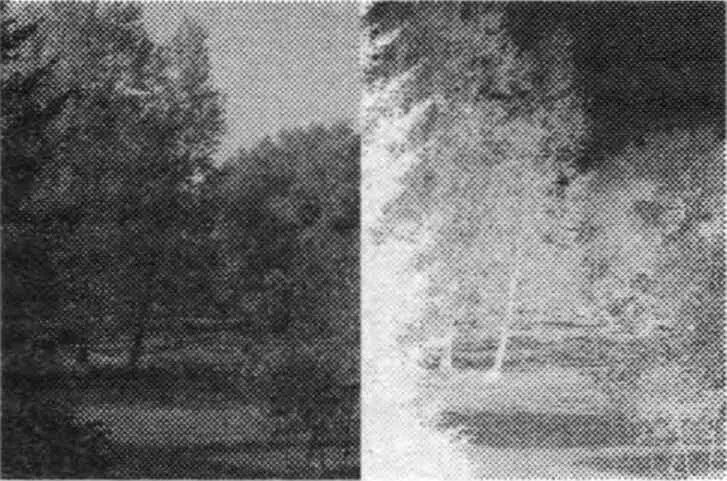 Негатив Квантовая запутанная система чемто напоминает фотопластинку с - фото 38