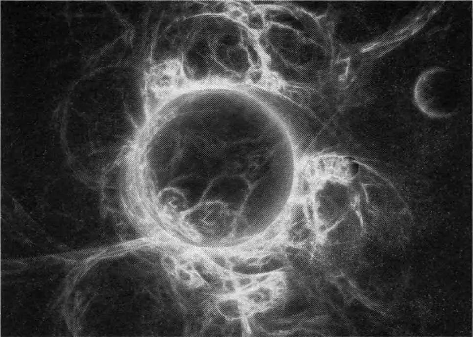 Вселенная фридмона НАУЧНАЯ ДЕМОНОЛОГИЯ Чтобы хоть както представить себе - фото 99