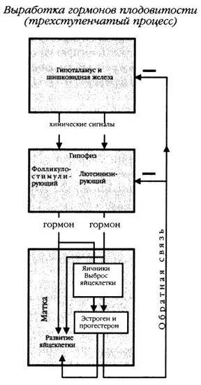Рис А4 Схема гормонального контроля над функционированием яичников - фото 98