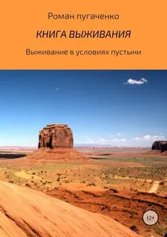 Роман Пугаченко - Книга выживания 2