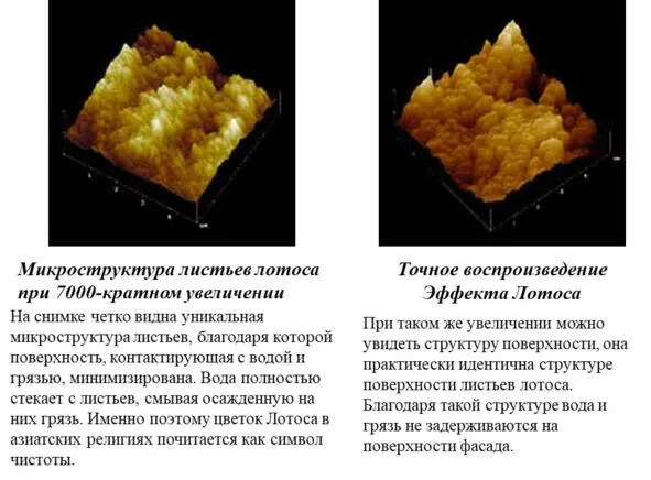 Рис 115б Микроструктура Лотоса Рис 115в Принцип действия краски с - фото 16