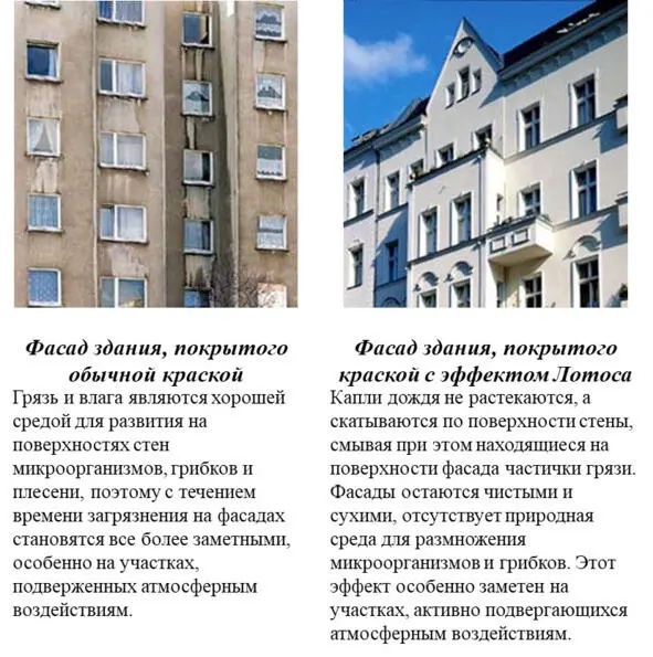 Рис 115г Результаты использования краски с эффектом Лотоса Пример 116 - фото 18