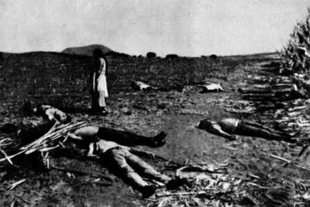 Такие следы оставляют за собой наемные убийцы В этой мирной деревне - фото 15