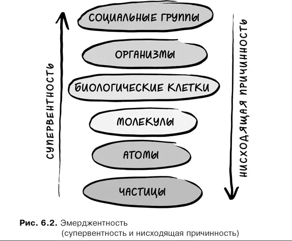 Границы научных дисциплин зависят от уровней на которых начинают проявляться - фото 21