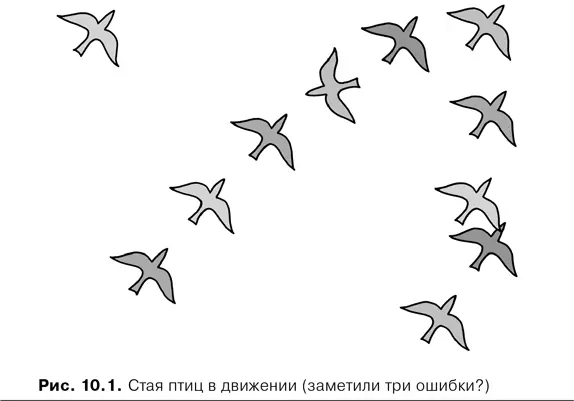 Поведение птиц в стаях пример сложного поведения возникающего в результате - фото 35