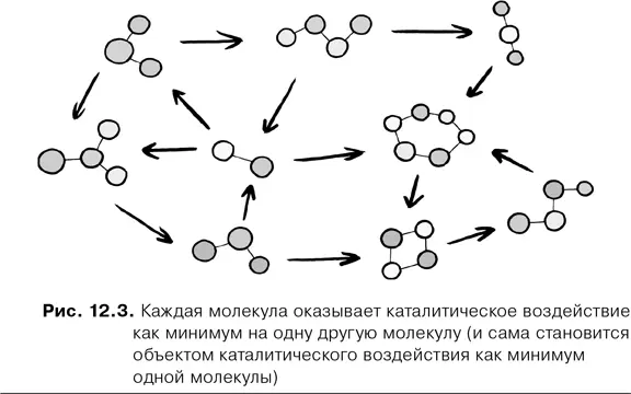Биологтеоретик Стюарт Кауфман показал что формирование автокаталитических - фото 45