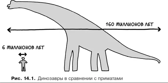 Мне кажется есть основания утверждать что любой биологический вид успешен до - фото 59