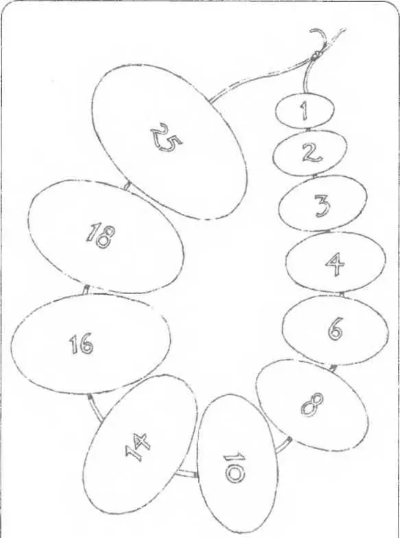 Рисунок 12 ОрхидометрПоказаны размеры яичек в натуральную величину - фото 12