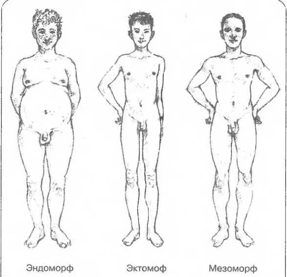 Рисунок 25 Три типа тел В какойто мере вы сможете изменить свое тело диетой - фото 25