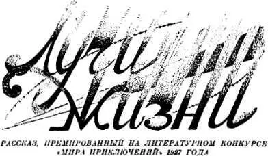 ЛУЧИ ЖИЗНИ Илл Н Ушина Я еще со школьной скамьи приобрел привычку почти - фото 14