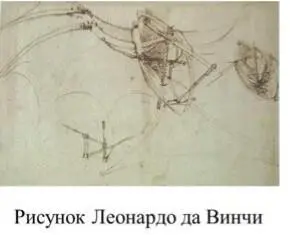 Пример 15 Структура крыла Леонардо писал Помни что птица твоя должна - фото 10