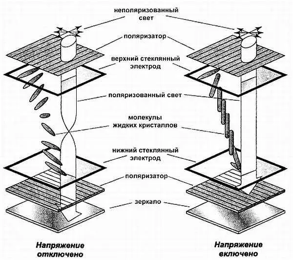 Рис 314 Устройство пассивной ЖКячейки Здесь слой жидких кристаллов - фото 12