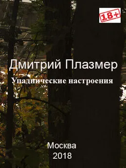 Дмитрий Плазмер - Упаднические настроения