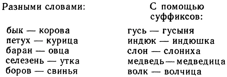 А лиса Имеется ли этому слову парное соответствие в мужском роде Посмотрим в - фото 23
