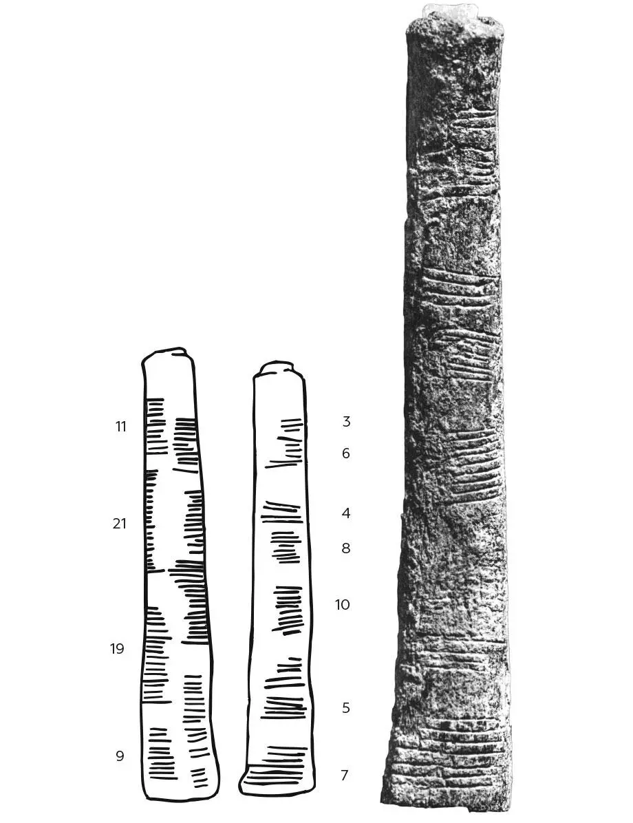 Кость Ишанго насечки и представленные ими числа Простые единицы счета удобны - фото 2