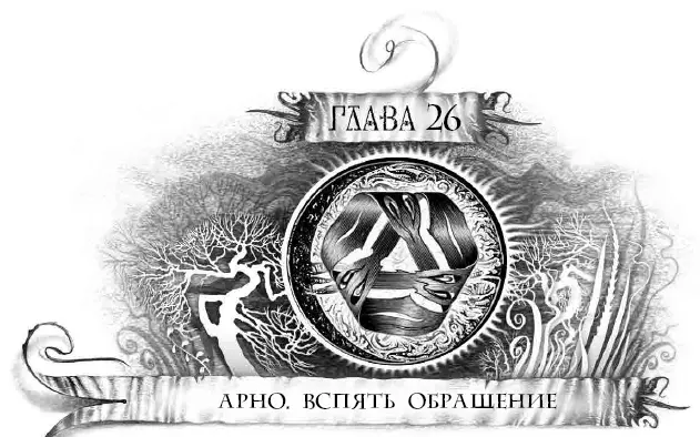 Когда Карина исчезла из виду и лунная тропа погасла Арно хотел принять львиную - фото 54