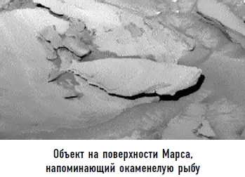 Согласно гипотезе все это может свидетельствовать лишь об одном Марс - фото 27