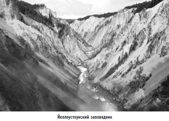 Однако фаворитом среди территорий где можно будет пересидеть ледниковый - фото 90